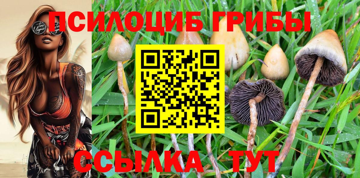 Галлюциногенные грибы MAGIC MUSHROOMS Кашира